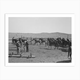 Cowboys Roping And Saddling Horses, Corral At Ranch Near Marfa, Texas By Russell Lee Art Print