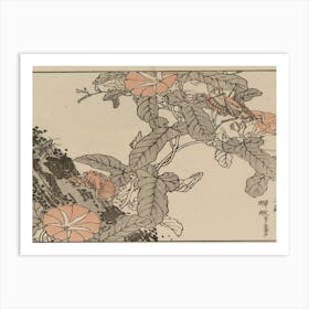 Wakame Art Print