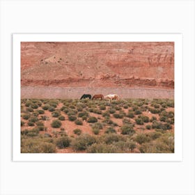 Herd Of Desert Horses Art Print