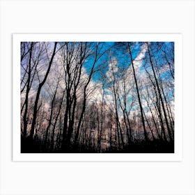 Winter Tree Park Sky Nature 1 Art Print