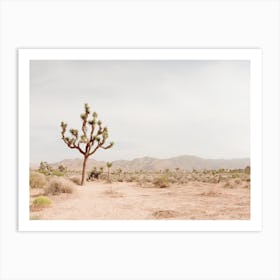 Joshua Tree Desert Art Print