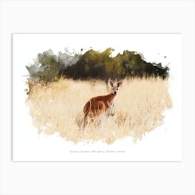 Kangaroo Sanctuary, Alice Springs, Northern Territory Art Print