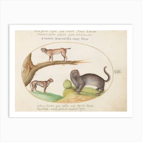 Animalia Qvadrvpedia et Reptilia (c. 1575-1580), Joris Hoefnagel 7 Art Print