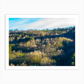 Aerial View Of A Forest 20230415190564pub Art Print