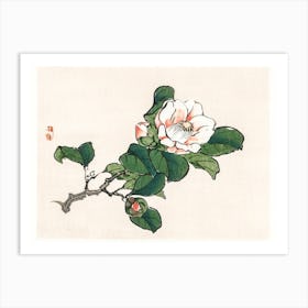 Camelia, Kōno Bairei Art Print