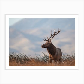 California Elk Landscape Art Print