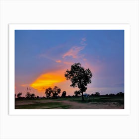 Sunset In A Field Art Print