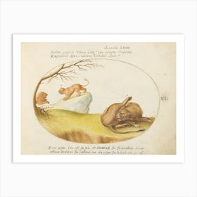 Quadervpedia Animals And Reptiles, Joris Hoefnagel (3) 1 Art Print