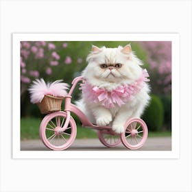 Persian Cat On A Pink Bicycle Art Print