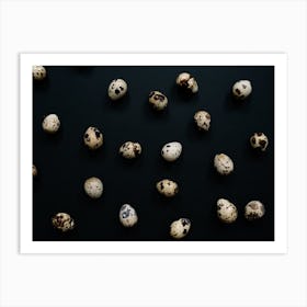 Quail Eggs 8 Art Print