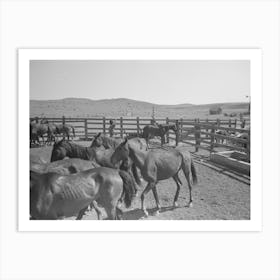 Untitled Photo, Possibly Related To Cowboys Roping Horses At Roundup Near Marfa, Texas By Russell Lee Art Print