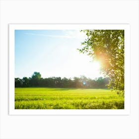 Field With Sun Art Print