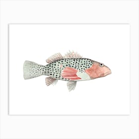 Fish 1 Art Print