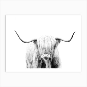 Highland Cow Art Print