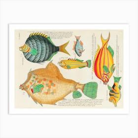 Colourful And Surreal Illustrations Of Fishes Found In Moluccas (Indonesia) And The East Indies By Louis Renard(92) Art Print