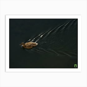 Duck In The Water 20210101 117ppub Art Print