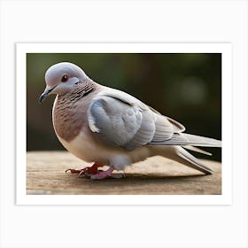 Pigeon 1 Art Print