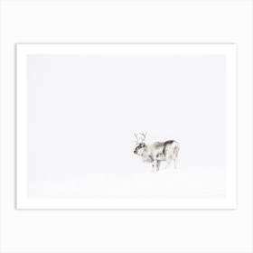 Arctic Tundra Caribou Art Print