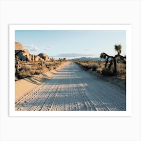 Desert Dirt Road Art Print