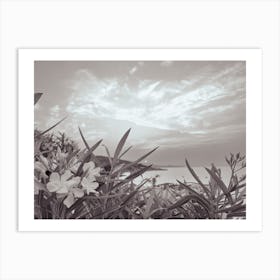 Flowers By The Sea Art Print