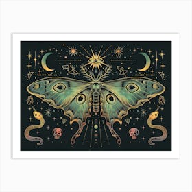 Moth Illustration 5 Art Print