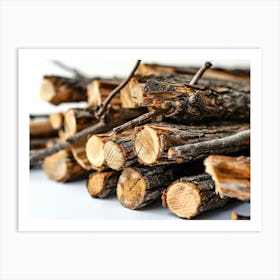 Firewood Sticks Art Print