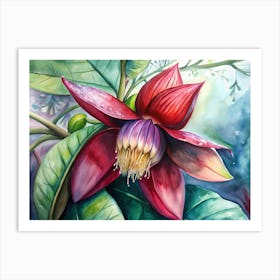 Passion Flower Art Print