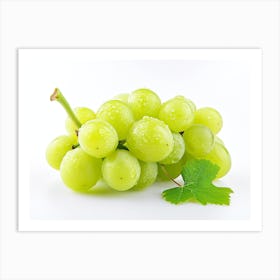 Green Grapes On White Background 1 Art Print