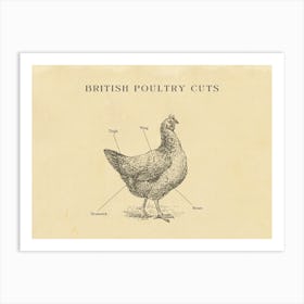 British Chicken Butcher Meat Cuts Chart Art Print