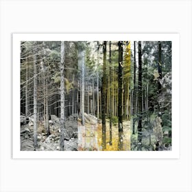 Forest Collage Vintage 1 Art Print