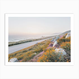 Beach Highway Wildflowers Art Print