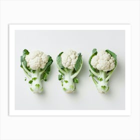 Three Cauliflowers On White Background Art Print