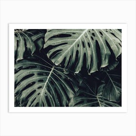 Lush Tropical Leaves Art Print
