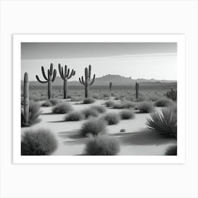 Cactus In The Desert Art Print