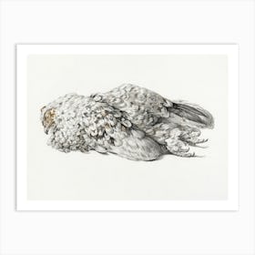 A Dead Chicken (1827), Jean Bernard Art Print