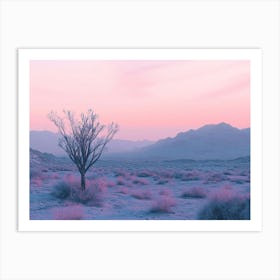 Desert Landscape 17 Art Print