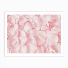Baby Pink Flower Petals Art Print