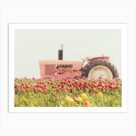 Tractor In Tulip Field Art Print