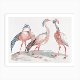 Miss Crane Birds, Johan Teyler Art Print
