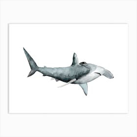 Sea Life Hammerhead Shark Art Print