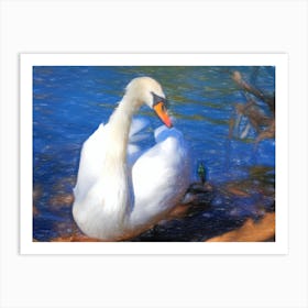 Swan In Water 2 Art Print