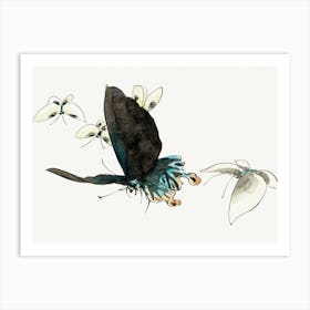 Hokusai Butterfly And Flower Art Print