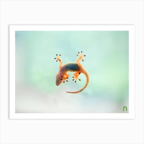 Gecko 20180423 14 01rt1pub Art Print