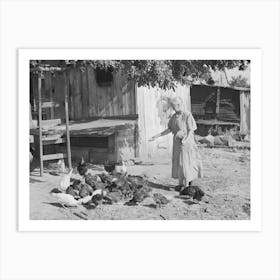 Untitled Photo, Possibly Related To Wife Of Tenant Farmer Living Near Muskogee, Oklahoma, Feeding The Chickens Art Print