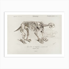 Megatherium, Charles Dessalines D'Orbigny Art Print