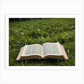 Open Bible In The Grass Art Print