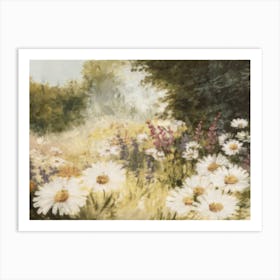 Daisies In The Meadow  Art Print