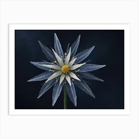 Blue Flower 1 Art Print