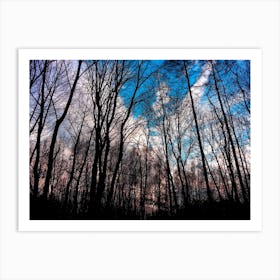 Winter Tree Park Sky Nature Art Print