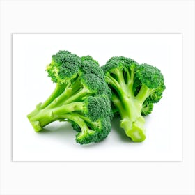 Broccoli 8 Art Print